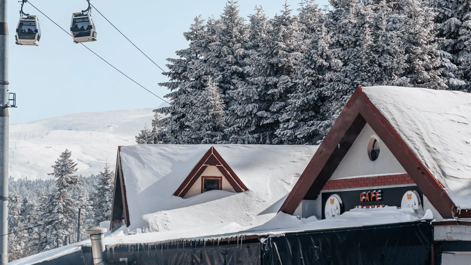 Cable car over frosted pine trees at the Uludag ski resort, Bursa