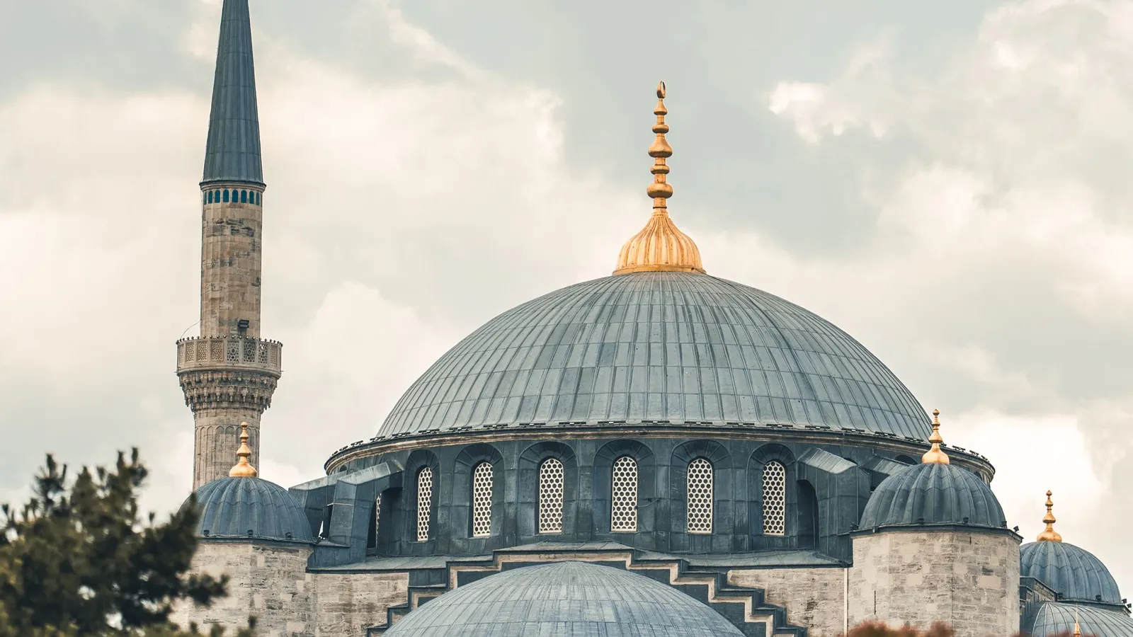 Domes and minaret of the Blue Mosque rising above the trees in Sultanahmet, Istanbul
